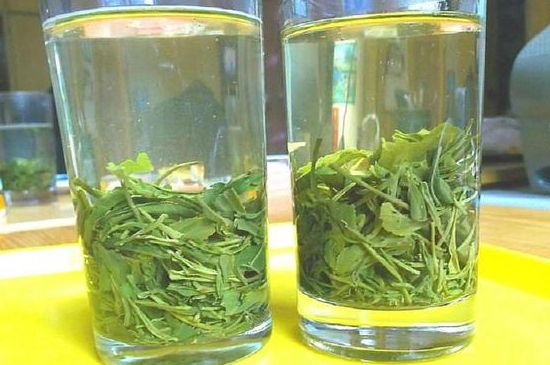 茶葉為什么不能亂送人，買茶葉一次送一盒還是兩盒