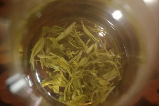 碧螺春正確泡法和飲用，碧螺春茶泡茶方法與溫度