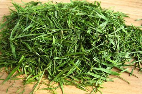 哪類人不適合喝石竹茶，石竹茶的功效與禁忌