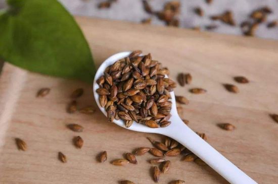 大麥茶上火嗎，喝大麥茶會(huì)不會(huì)上火？