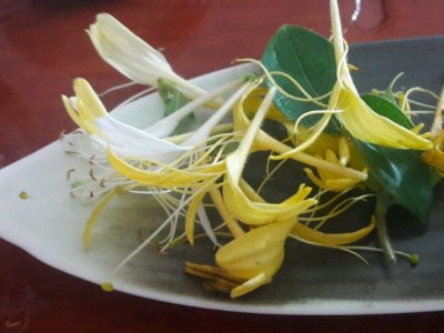 喝茶治口臭嗎，什么茶治口臭好？