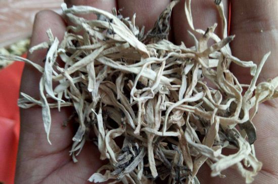 麗江雪茶的禁忌，白雪茶的副作用