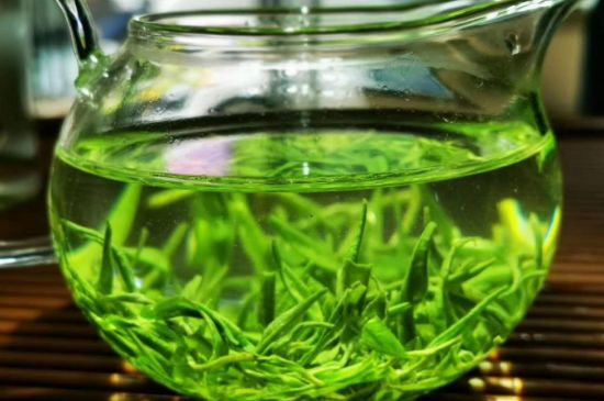 喝黃金茶禁忌，什么人不能喝黃金芽茶？