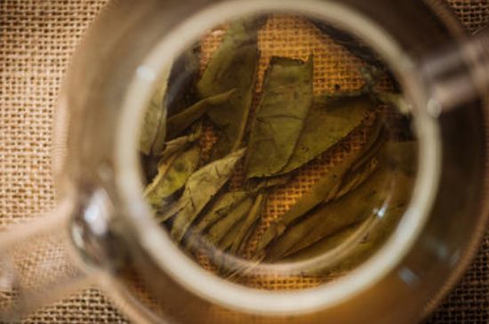 苦丁茶副作用，苦丁可以經(jīng)常喝嗎？