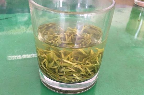 碧螺春正確泡法和飲用，碧螺春茶泡茶方法與溫度