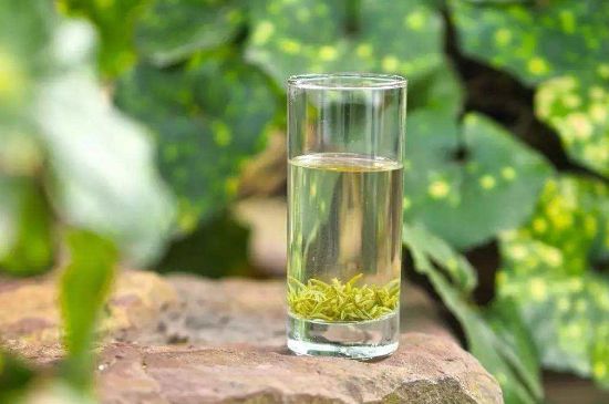 碧螺春沖泡三要素，碧螺春怎么泡才正確？