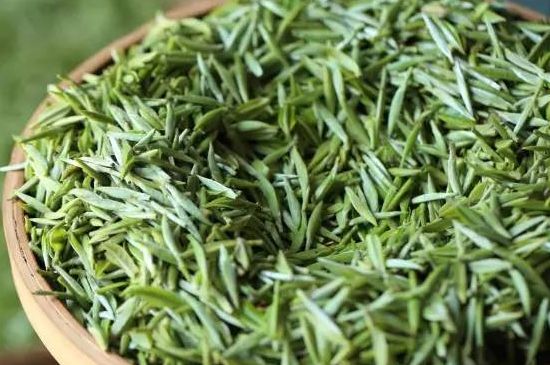 雀舌茶的沖泡方法，怎么沖泡雀舌茶？