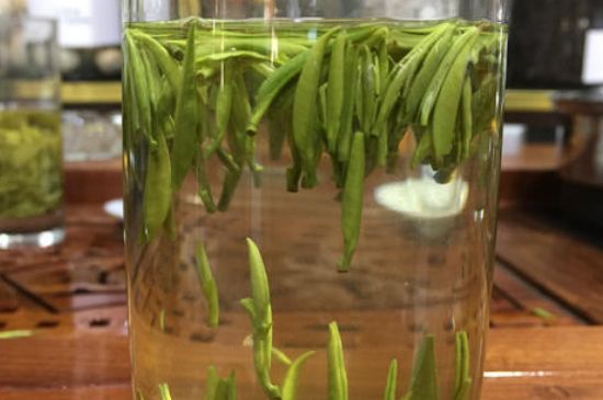 雀舌茶的副作用，雀舌茶什么人不能喝？