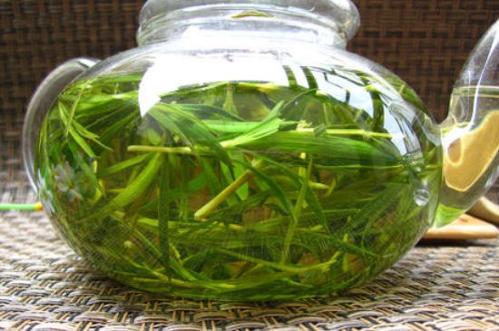 竹葉茶的禁忌，竹葉泡茶的功效禁忌