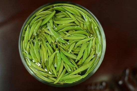 雀舌茶什么人不能喝，雀舌茶的功效與禁忌