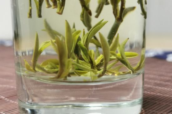 黃山毛峰怎么沖泡，黃山毛峰要多少溫度的水泡？