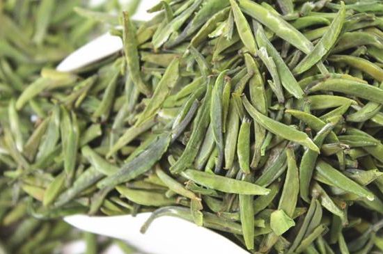 雀舌茶什么人不能喝，雀舌茶的功效與禁忌