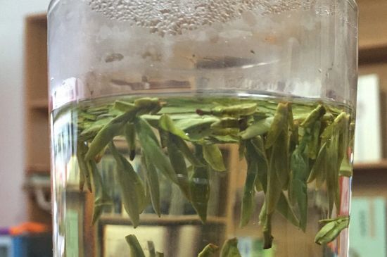 煮茶器能煮龍井嗎，龍井茶能不能用煮茶器圖