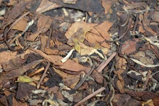 福鼎白茶能長時間悶泡嗎，老白茶可以悶著喝嗎？