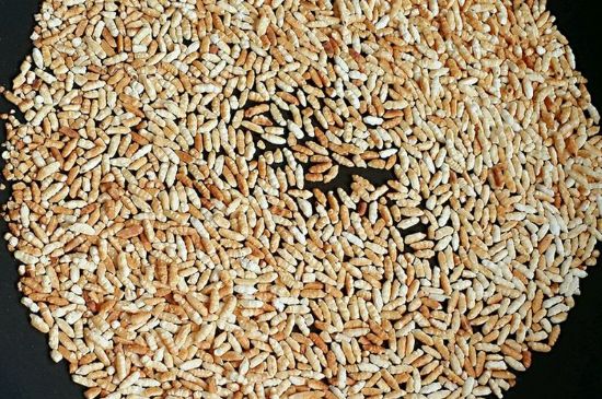 玄米茶是紅茶嗎，玄米茶怎么喝