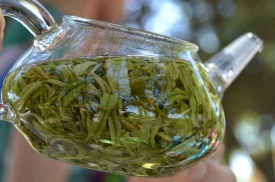 新手學(xué)泡茶的基本常識，從零開始學(xué)泡茶