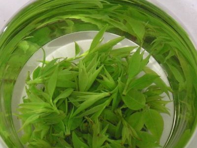 茶葉具有什么功效，茶葉的功效與作用大全