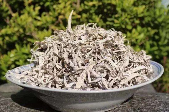 麗江雪茶的功效與作用，白雪茶有什么功效和作用