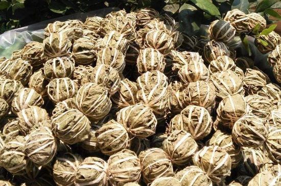 鷓鴣茶的禁忌，海南鷓鴣茶副作用