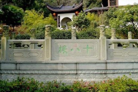 世界最貴的茶葉排行榜，十大最貴的茶