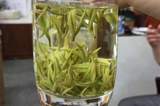 茶葉過期5年了但沒開封，茶葉放久了能喝嗎