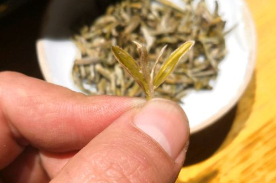 六大茶類哪種適合長(zhǎng)期存放，日常如何保存方法一覽？