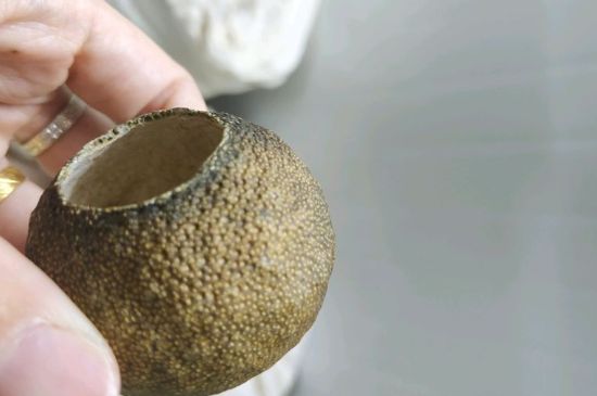 小青柑多少錢一盒，新會(huì)小青柑普茶價(jià)格一斤多少