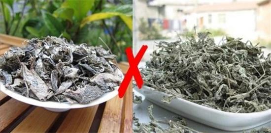 張家界茅巖莓茶與藤茶是同一種茶嗎，藤茶跟莓茶一不一樣？