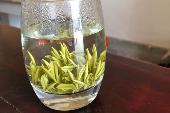 安吉白茶耐寒嗎，白茶適合放冰箱嗎