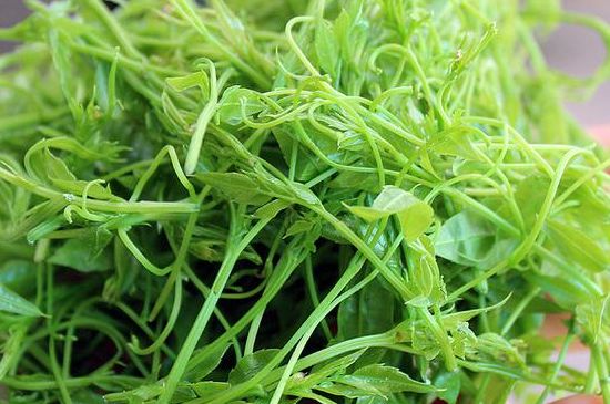 茅巖莓茶別名是什么，莓茶別名叫藤茶嗎？