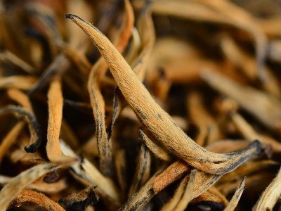 怎么知道什么茶葉適合自己，怎么判斷自己適合喝什么茶？