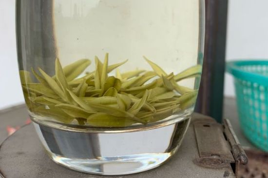 安吉白茶耐寒嗎，白茶適合放冰箱嗎