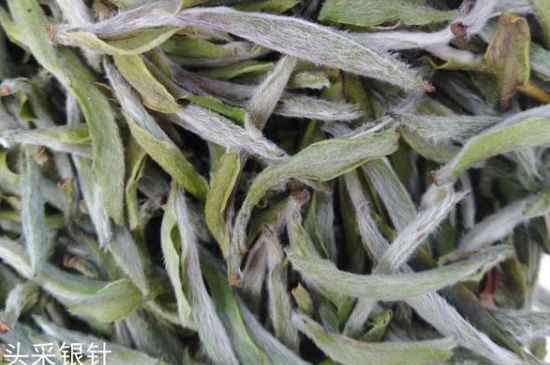 春茶季怎么辨別白毫銀針的好壞，好的白毫銀針如何選購？