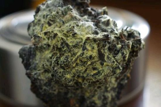 涇渭茯茶保質期多久，陜西涇渭茯茶能放幾年