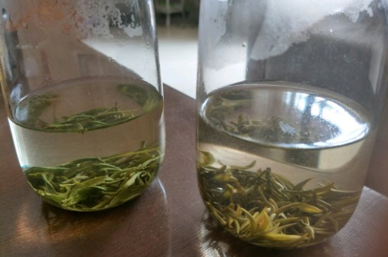 真假碧螺春泡水后區(qū)別，蘇州洞庭碧螺春怎樣鑒別好壞？