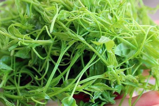 茅巖莓茶保質期有多久，張家界莓茶存放時間長了還能喝嗎？