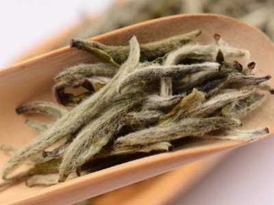 白毫銀針放幾年最好，白毫銀針什么年份最好？