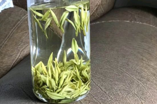 安吉白茶夏天怎么保存，安吉白茶能冷凍儲存嗎？