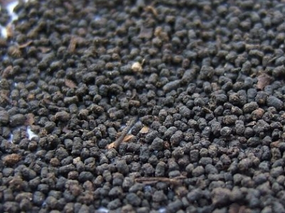 圓形顆粒狀茶是什么茶，像飼料一樣一粒粒的是什么茶？