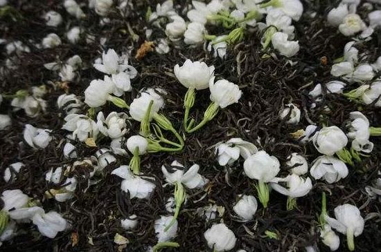 茉莉龍珠怎么做的，茉莉龍珠的制作工藝