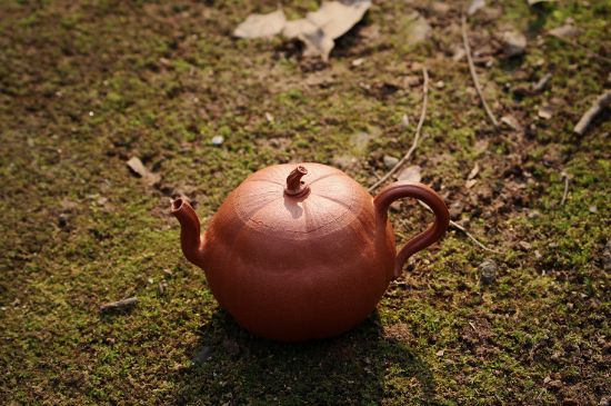 紫砂壺泡什么茶最佳，紫砂壺一般泡什么茶？