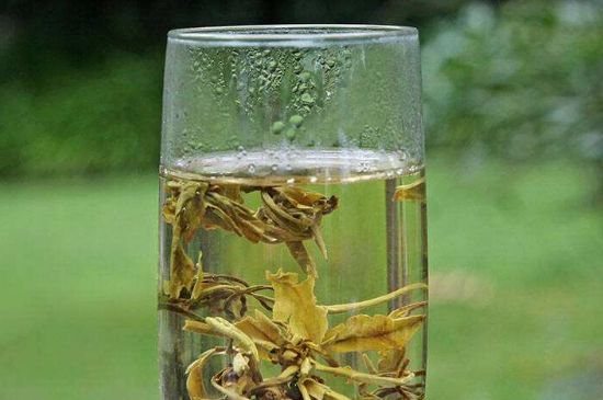 茉莉龍珠什么人不能喝，茉莉龍珠茶什么體質(zhì)不能喝？