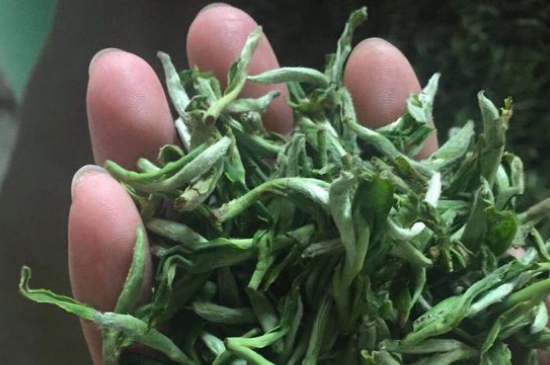 茉莉茶如何制作曬干，自制茉莉茶的做法