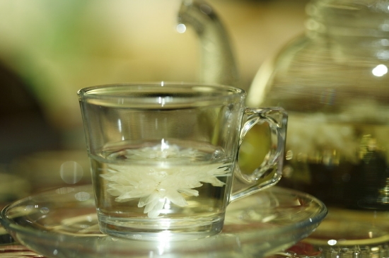 菊花茶天天喝行嗎，每天喝菊花泡茶喝好嗎？