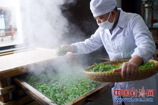 炒青綠茶與綠茶的區(qū)別，烘青和炒青哪個好喝？