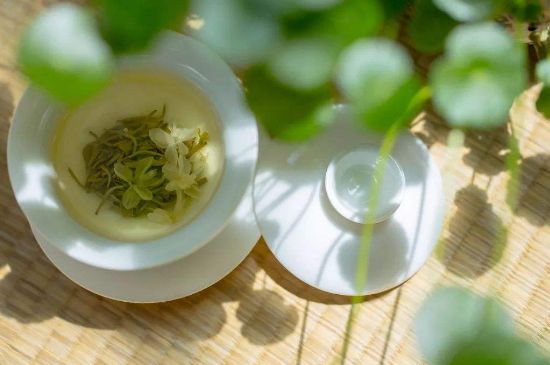 茉莉花茶6種人不要喝，什么體質(zhì)不適合喝茉莉花茶？