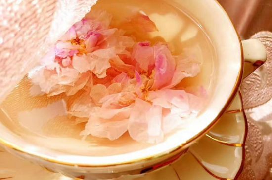 玫瑰花茶一周喝幾次，玫瑰花茶可以天天喝嗎？