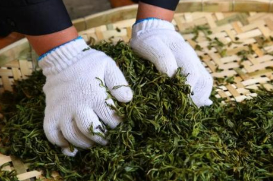 綠茶加工工藝流程圖，綠茶的加工制作包含哪幾個步驟？