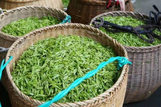 茶葉怎么炒制才香，怎樣炒茶葉更香？