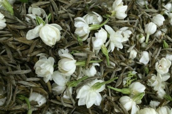 茉莉銀針口感，茉莉銀針是什么味道？